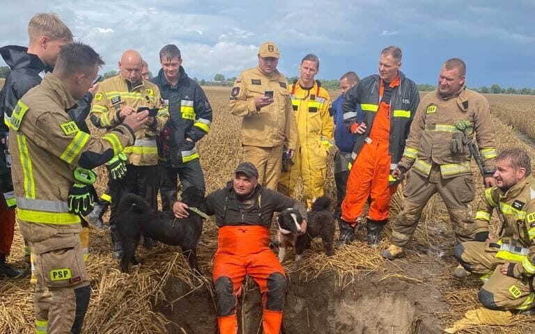Niezwykła akcja ratunkowa pod Poznaniem. Uratowali psy, które utknęły pod ziemią /fot. JRG 4 Poznań