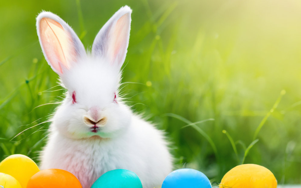 Nietypowe tradycje Wielkanocne na świecie. Poznaj je wszystkie!, fot. canva.com